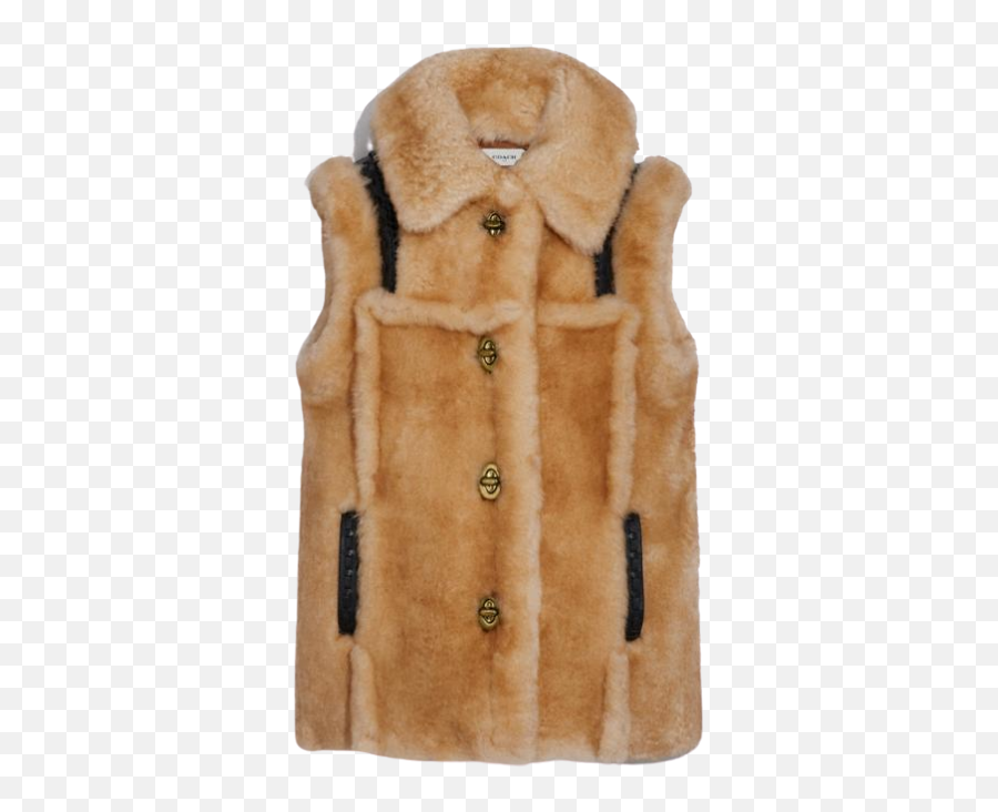 Etro Clothing Designer U2013 The Nines - Coach Fur Vest Png,Icon Stripped Vest