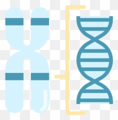 Free Icon Chromosome - Vertical png