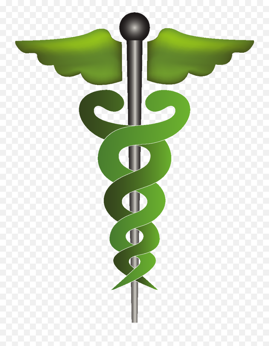 Cartoon Green Wings Icon Element - New Sign Of Doctors Png,Medical Symbol Png