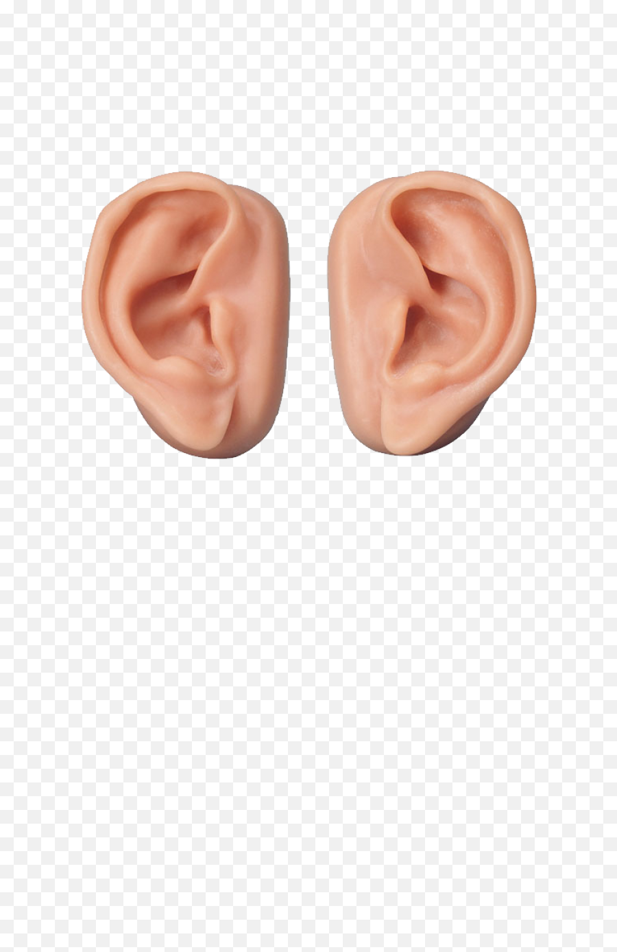 Download Ear Png Image For Free - Transparent Background Ears Png,Ear Png
