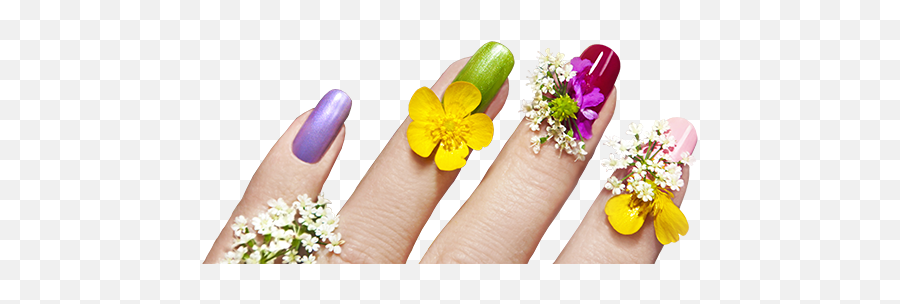 Download Free Png Nails Images - Nails Art Flowers Png,Manicure Png