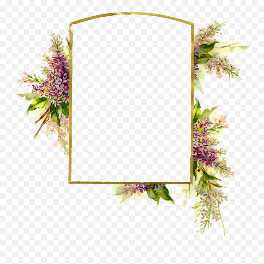 Floral Frame Png Images Free Download - Floral Frame Background Hd,Flower Frame Png