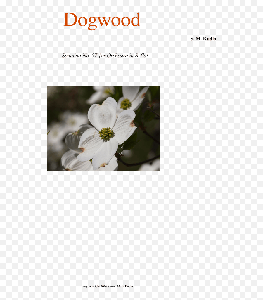 Download Dogwood Sheet Music For Flute - Evergreen Rose Png,Bassoon Png
