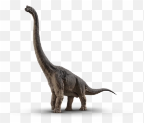 Brachiosaurus - Jurassic World Fallen Kingdom Brachiosaurus Png,Brachiosaurus Png