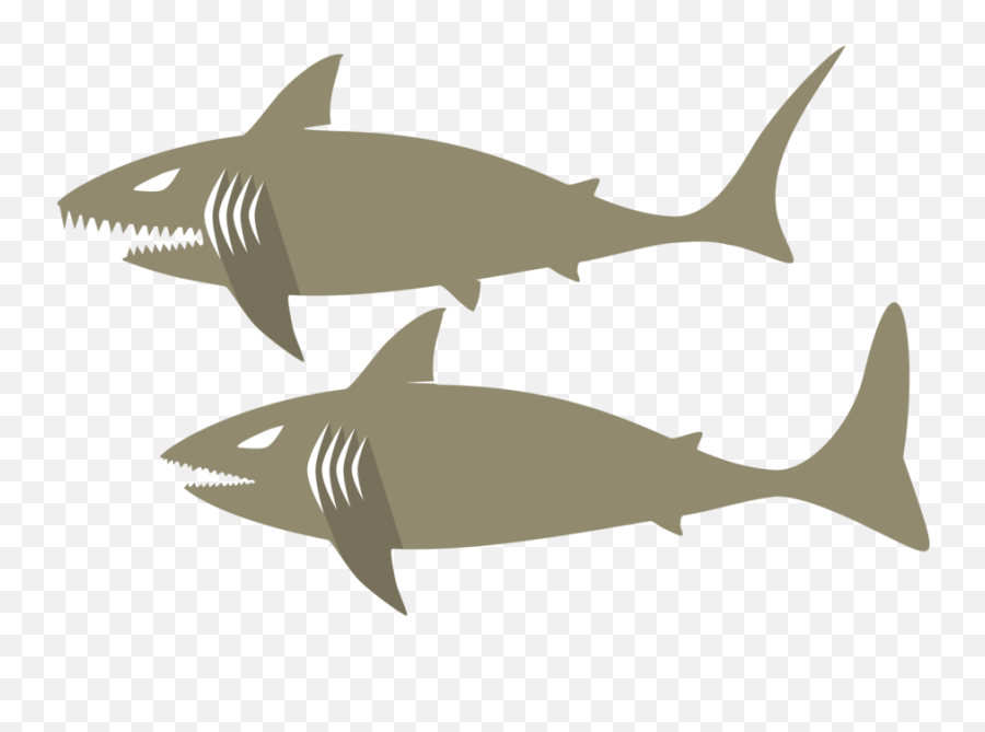 Marine Biologysharkfin Png Clipart - Royalty Free Svg Png,Shark Fin Png