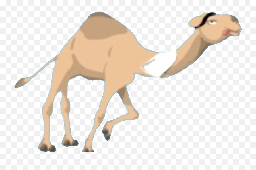 Rudirennkamel Streamlabs - Arabian Camel Png,Camel Transparent