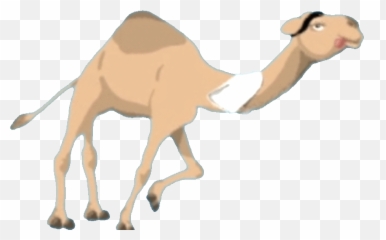 Rudirennkamel Streamlabs - Arabian Camel Png,Camel Transparent