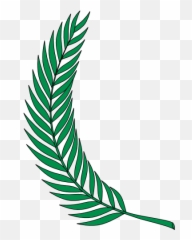 Plant - Rainforest Plant Clip Art Full Size Png Download Nagar Parishad Warora Logo,Rainforest Png