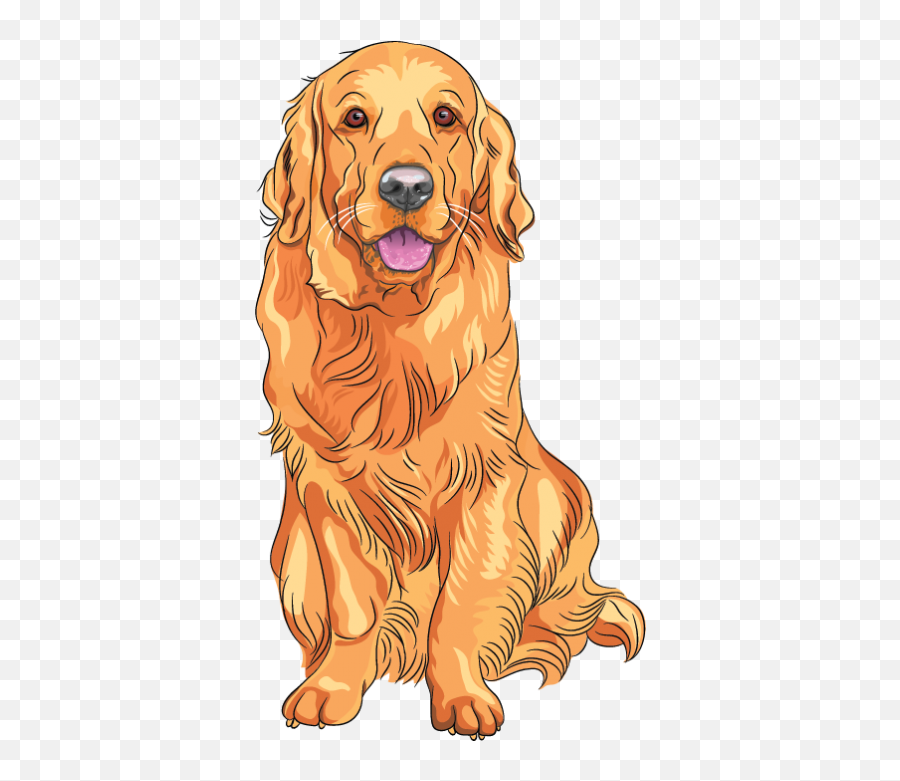 Labrador Retriever Golden - Golden Retriever Dogs Vector Png,Golden Retriever Png