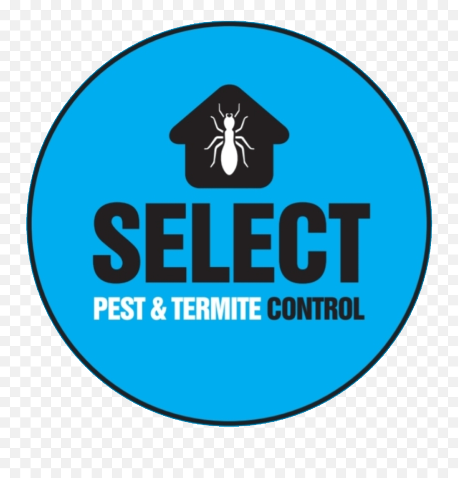 All Pest Control Noble Parktermite Inspections - Treatments Prime Video Icon Png,Termite Png