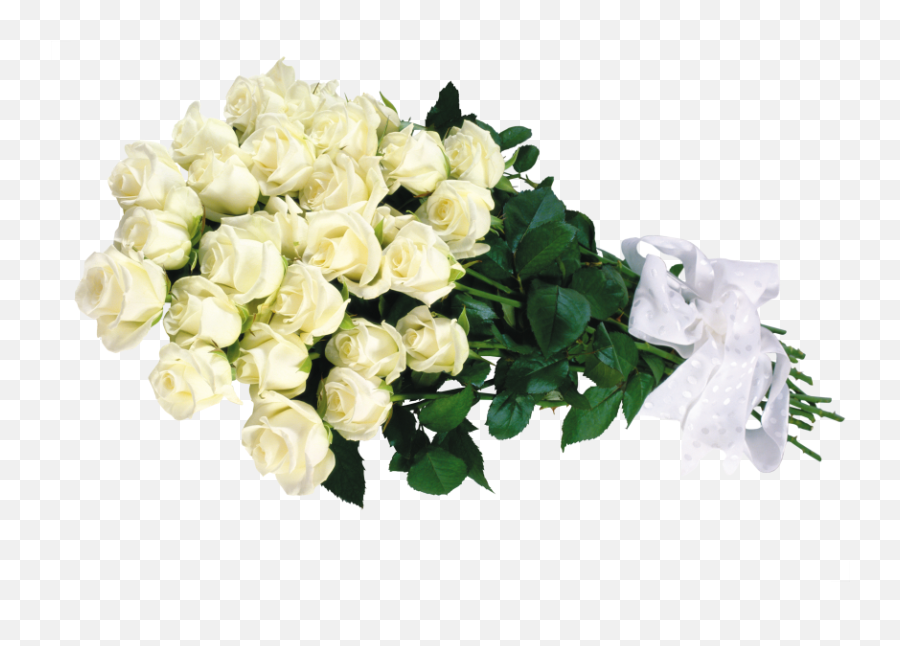 Download White Rose Bouquet Transparent - White Roses Bouquet Png,White Rose Transparent