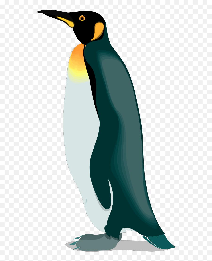Waddling Penguin Png Svg Clip Art For - Pinguino Vector Png,Penguins Png