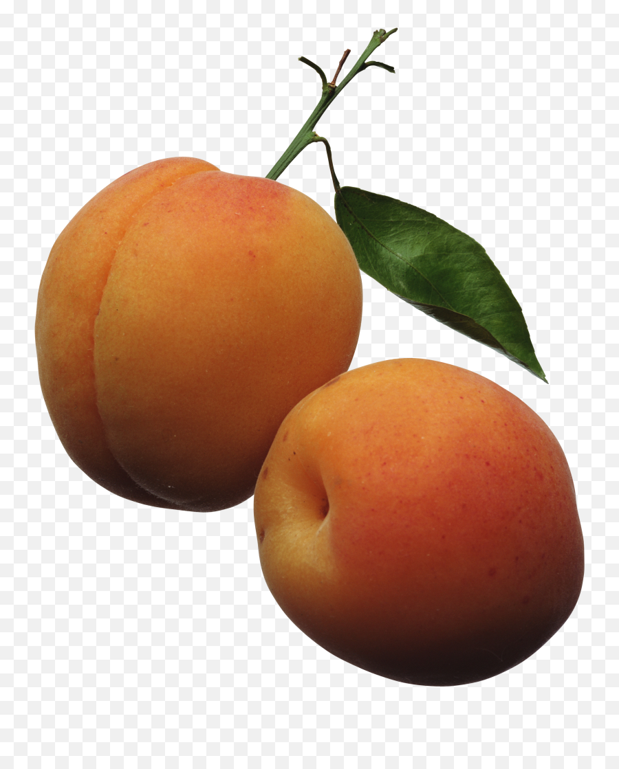 Peach Png Image - Apricots Clipart,Peach Transparent Background