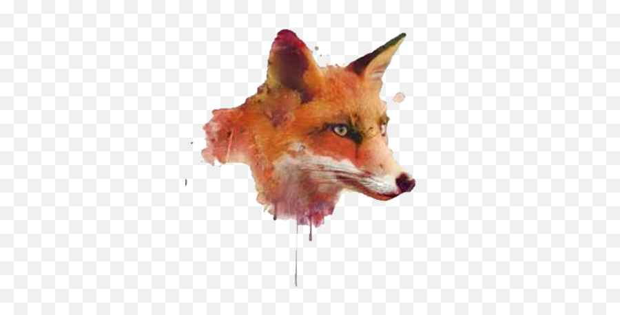Watercolor Painting Software - Fox Head Png,Fox Head Png