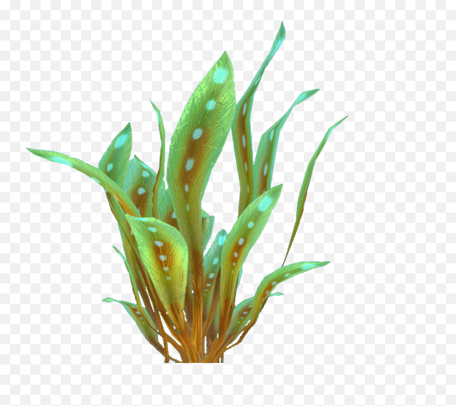 Green Reeds Flora - Plants Png,Reed Png