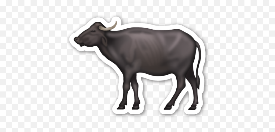 Whatsapp Emoji Buffalo Transparent Png - Black Buffalo Png,Water Emoji Transparent