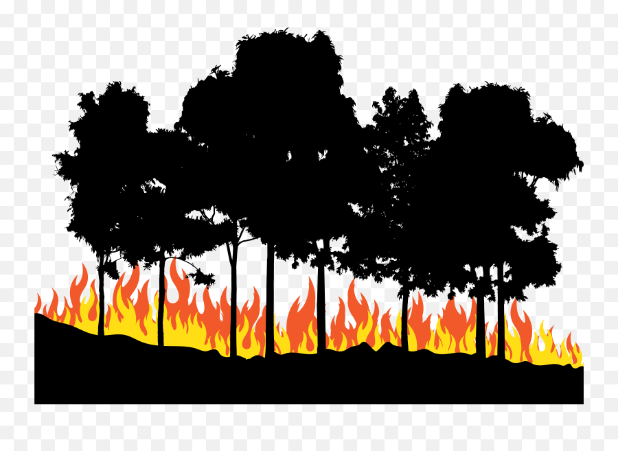 Fire Euclidean Vector - Trees On Fire Clipart Png,Fire Vector Png