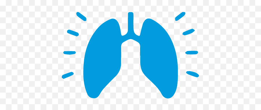 Poc Testing For Respiratory Care - Dot Png,Respiratory Icon