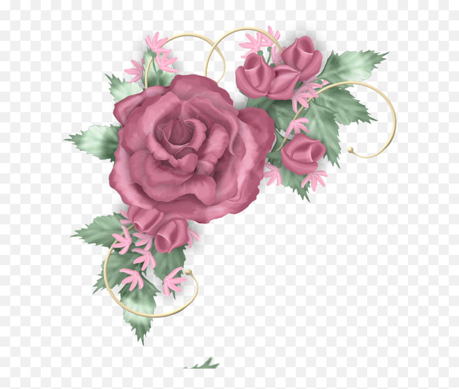 Rose Pictures Real Flowers Beautiful - Pink And Silver Flower Border Png,Real Rose Png