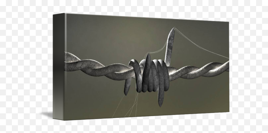 Barbed Wire By Cohan Weggs - Barbed Wire Png,Barbed Wire Transparent