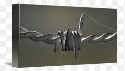 Barbed Wire By Cohan Weggs - Barbed Wire png
