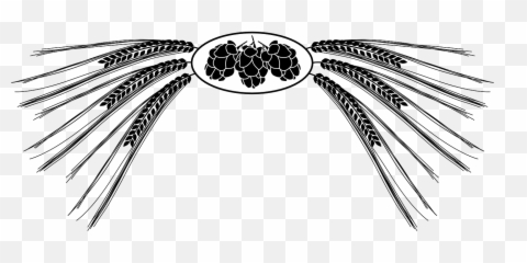 Grain Barley Hops - Hops And Barley Clipart Png,Hops Png