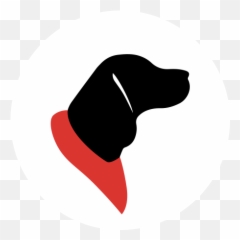 Welcome U2013 Traffic Light Bandanas - Scent Hound png