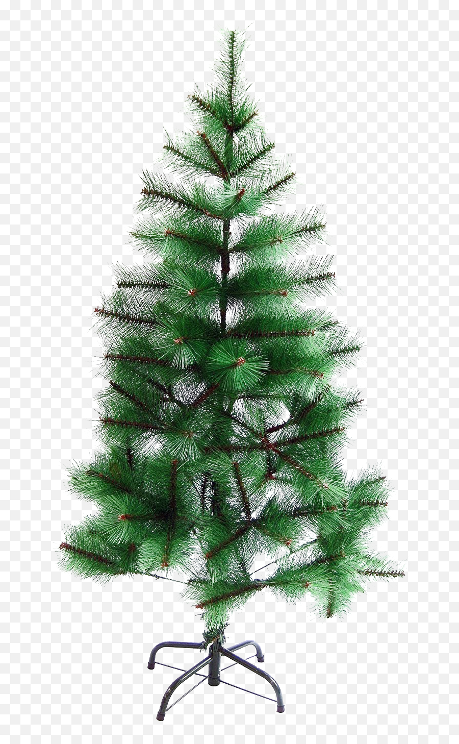 Christmas Pine Tree Transparent - Christmas Day Png,Pine Tree Transparent Background