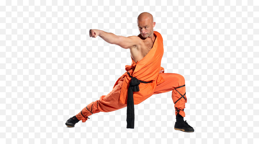 Snake Kung Fu Stance Transparent Png - Kung Fu,Kung Fu Png