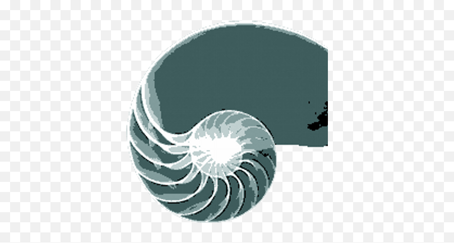 Download Golden Spiral - Sequencia De Fibonacci Png Image Golden Ratio Spiral Logo,Fibonacci Spiral Png