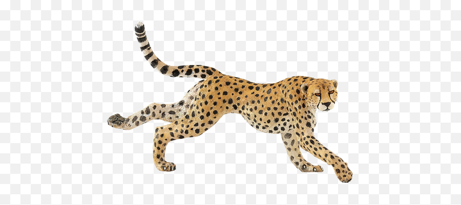 Running Cheetah Png Free Download - Cheetah Running Png,Cheetah Png