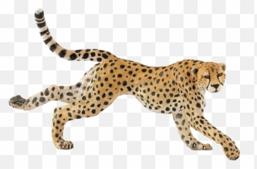 Running Cheetah Png Free Download - Cheetah Running Png,Cheetah Png