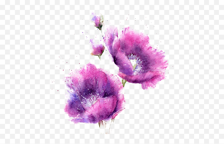 Watercolor Flowers - Pink And Purple Watercolour Flower Png,Purple Watercolor Png