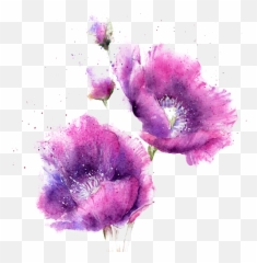Watercolor Flowers - Pink And Purple Watercolour png