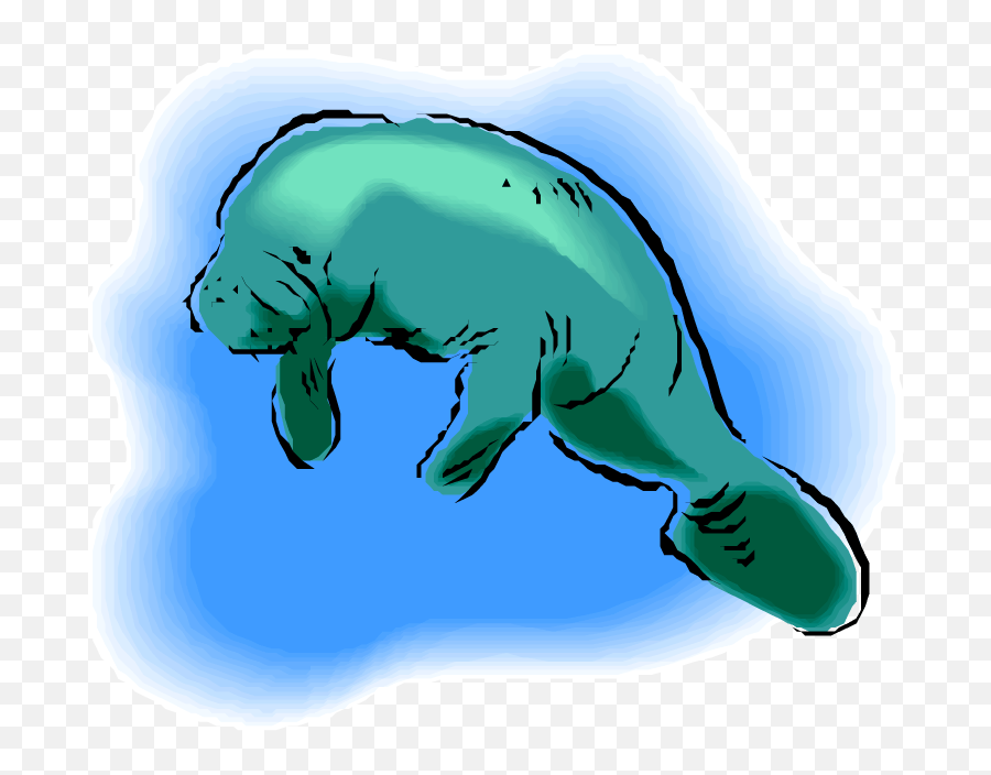 Transparent Background Manatee Clipart - Sea Cow Png,Manatee Png