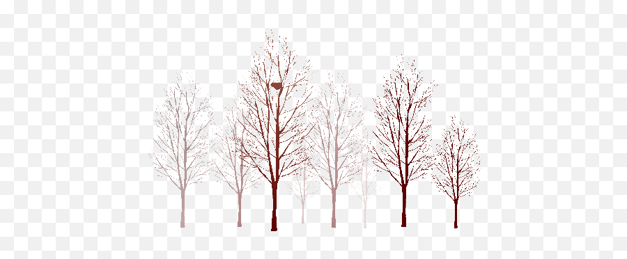 Full Size Png Image - Tree,Arboles Png