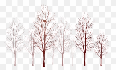Full Size Png Image - Tree,Arboles Png