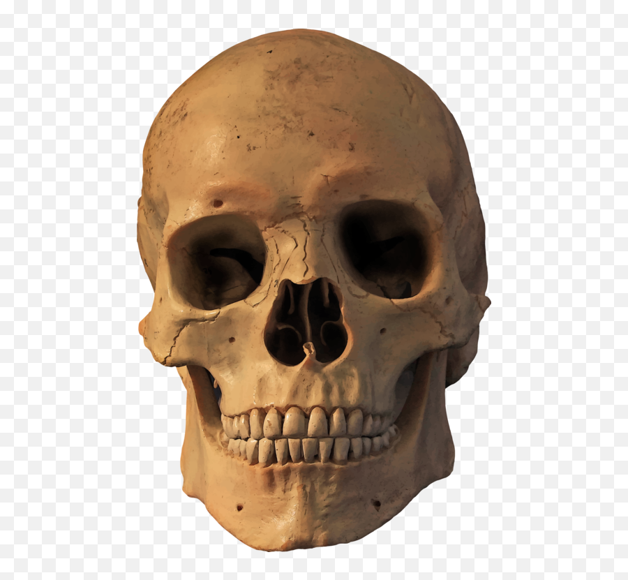 Head Skeleton Skull Png Clipart - Skull Fire Png Hd,Human Skull Png