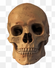 Head Skeleton Skull Png Clipart - Fire Hd