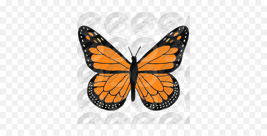 Monarch Picture For Classroom Therapy Use - Great Monarch Cut Out Monarch Butterfly Template Png,Monarch Png
