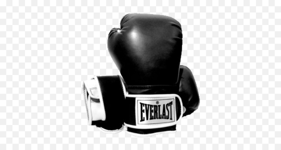 Download Everlast Boxing Gloves Psd - Black And White Black Everlast 12 Oz Boxing Gloves Png,Boxing Gloves Transparent Background