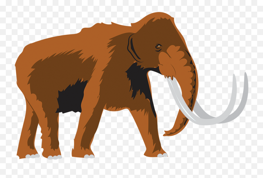 Illustrator U2014 Jessica Owen - Mammut Clipart Png,Mammoth Png