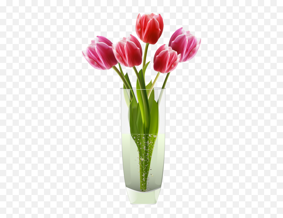 Pink Red Tulips Vase Png Clipart - 1538 Transparentpng,Tulips Png