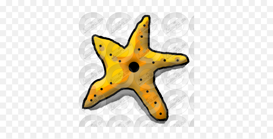 Starfish Picture For Classroom Therapy Use - Great Soft Png,Starfish Png