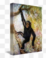Chimpanzee By - Picture Frame Png,Chimpanzee Png
