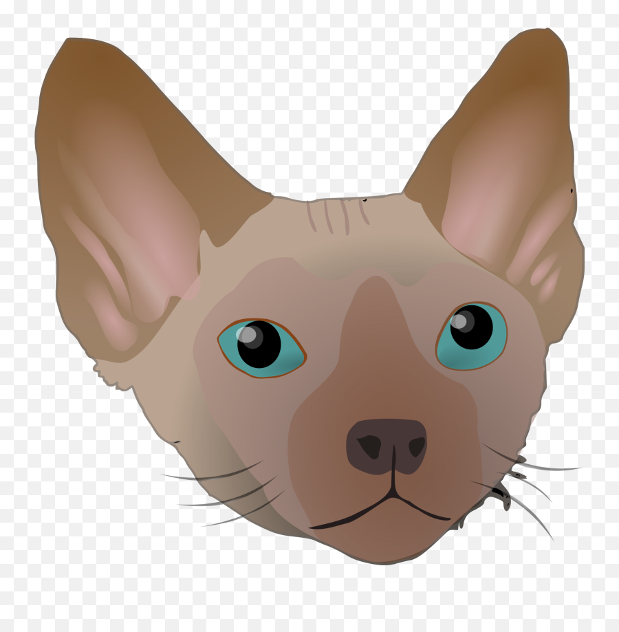 Clipart Of The Sphinx Face Cat - Devon Rex Png,Sphinx Png