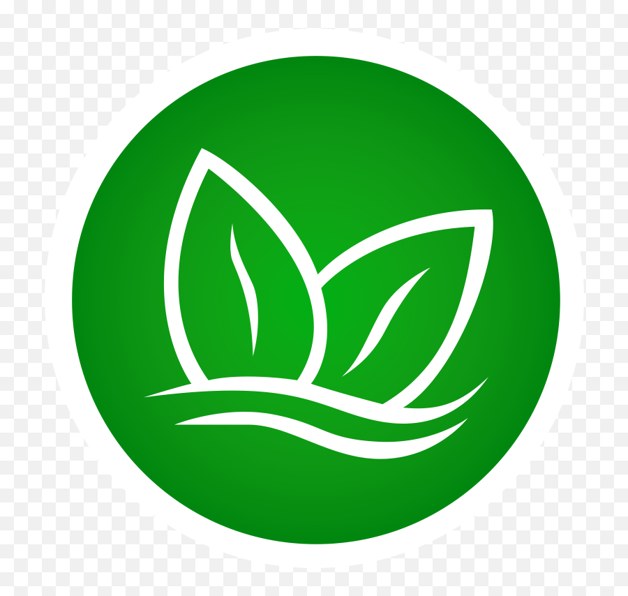 4 Elements - Icon Elements Nature Png,Elements Massage Logo