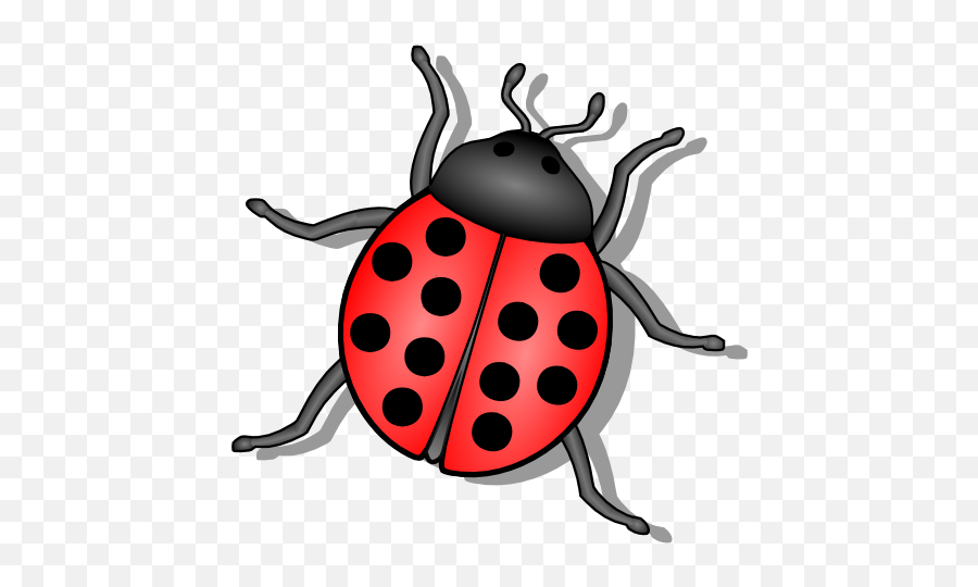 Download Bug Png 6 Hq Image - Ladybug Black And White,Bugs Png