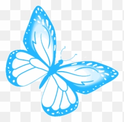 Butterfly Blue Gif - Cute Butterflies png
