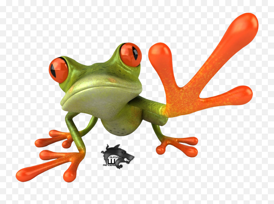 Frog Png Transparent Images - Funny Frog Transparent Background,Transparent Frog